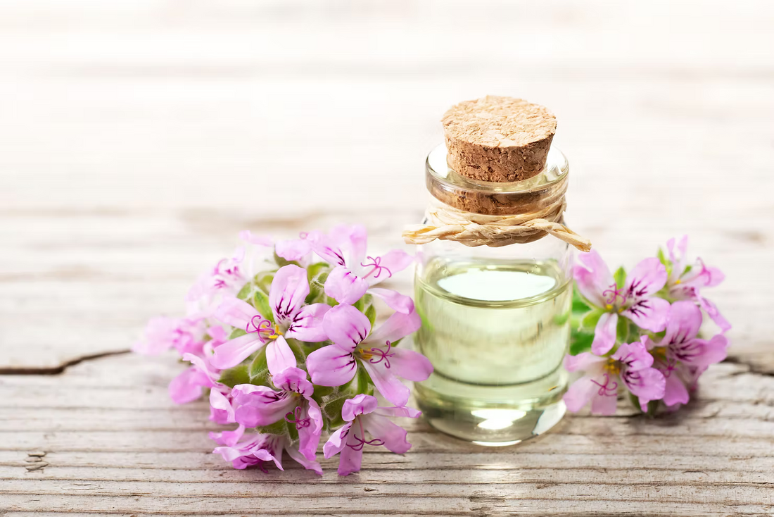 Geranium