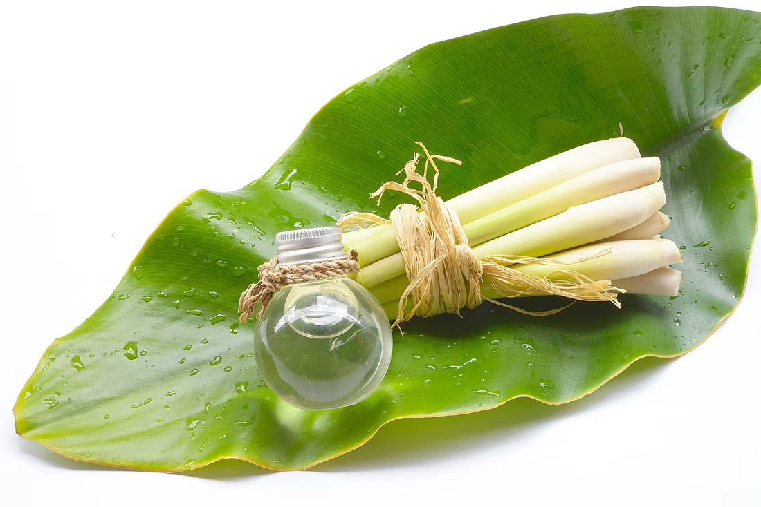 Lemongrass