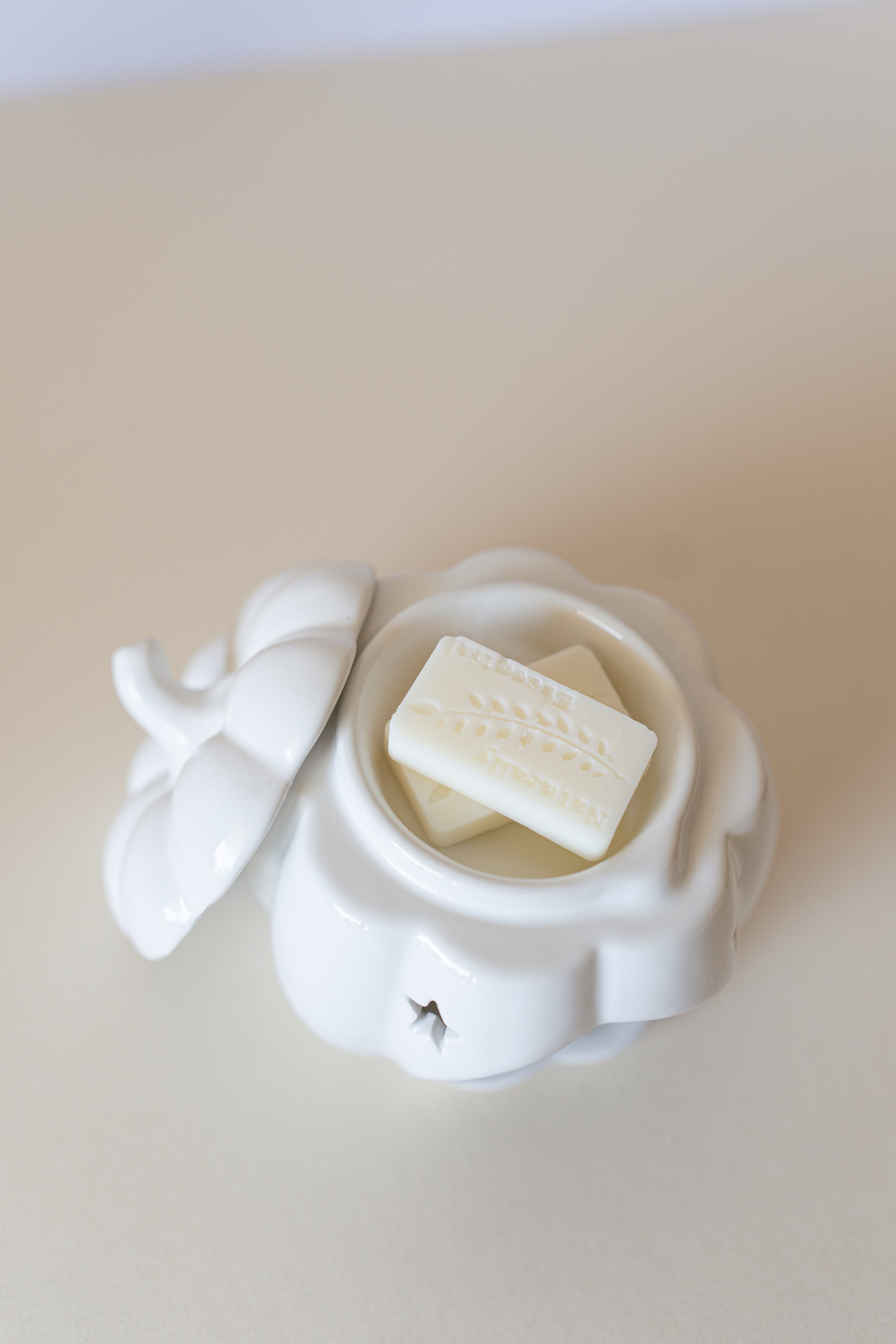 Pumpkin Oil & Wax Burner image 2