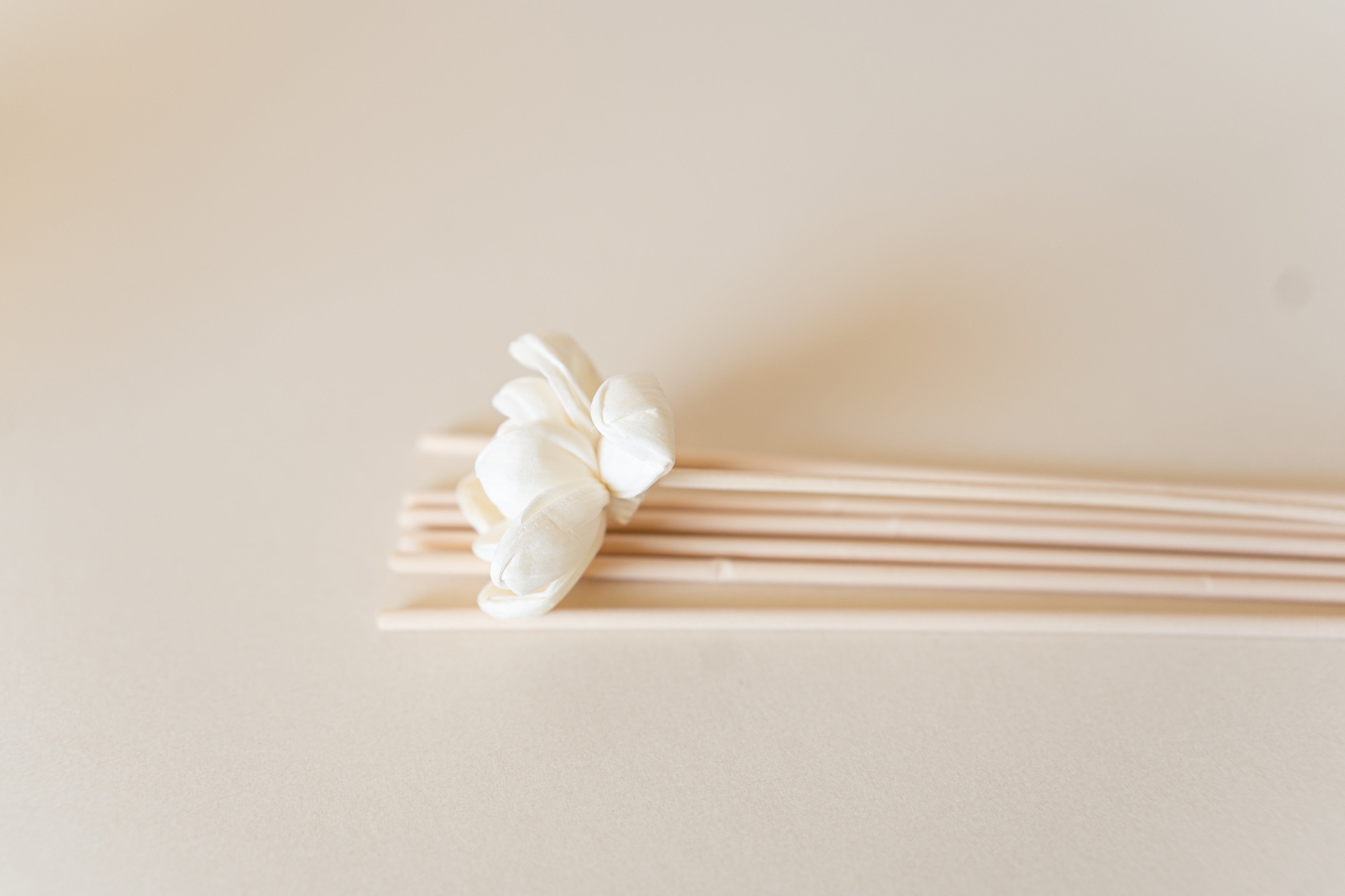 Replacement Reeds image 0