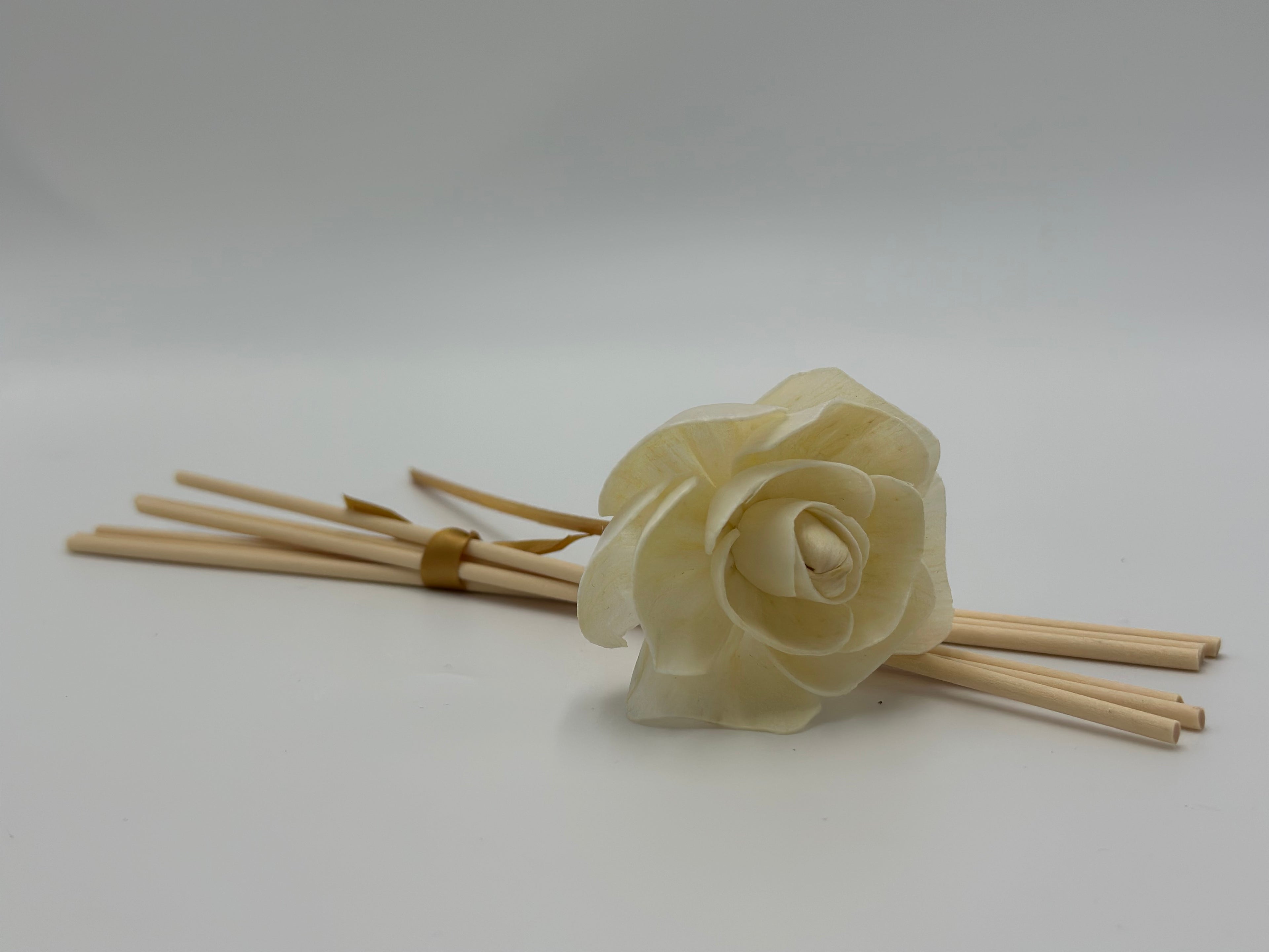 Replacement Reeds image 1
